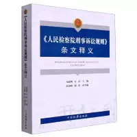 音像《刑事诉讼规则》条文释义不详