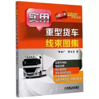 音像实用重型货车线束图集李自广