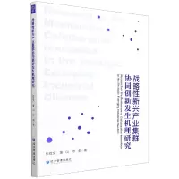 音像战略新兴产业集群协同创新发生机理研究张敬文,黄山,徐莉