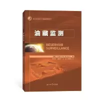 音像油藏监测陈军斌等译