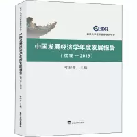 音像中国发展经济学年度发展报告(2018-2019)叶初升