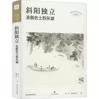 音像斜阳独立 圣朝名士苏东坡余丁未,南枫东哥