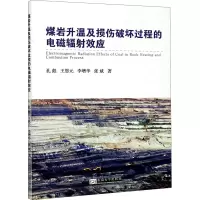 音像煤岩升温及损伤破坏过程的电磁辐效应孔彪 等