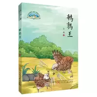 音像鹌鹑王汤雄 著