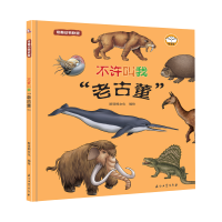 音像奇趣动物联盟:不许叫我“老古董”斯塔熊文化