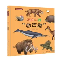 音像奇趣动物联盟:不许叫我“老古董”斯塔熊文化