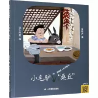 音像小毛驴
