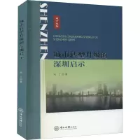 音像城市转型升级的深圳启示宋丁
