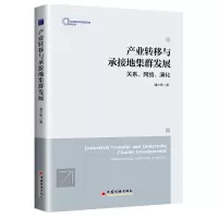 音像产业转移与承接地集群发展:关系、网络、演化潘