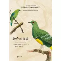 音像的鸟类(美)保罗·斯维特著