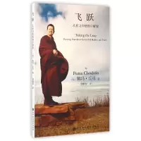 音像飞跃(从积习和恐惧中解脱)佩玛·丘卓