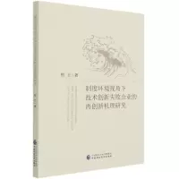 音像制度环境视角下技术创新失败企业的再创新机理研究熊壮著