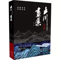 音像王川画集王川