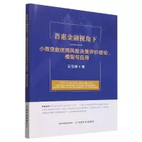 音像普惠金融视角下小贷款用风险决策评价理论、模型与应用石宝峰