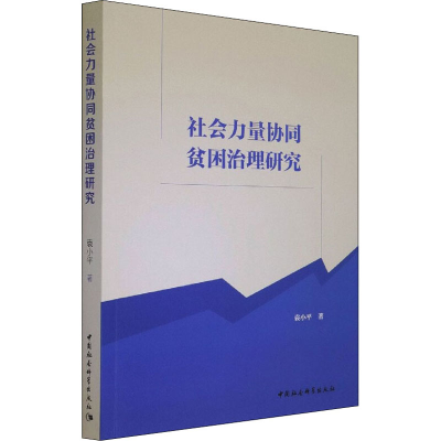 音像社会力量协同贫困治理研究袁小平