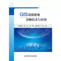 音像GIS局部放电诊断技术与应用代荡荡、刘芬、冯浩等
