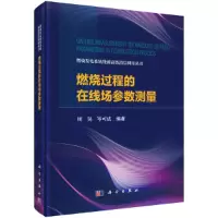 音像燃烧过程的在线场参数测量周昊,岑可法