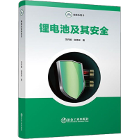 音像锂电池及其安全王兵舰,张秀珍