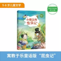 音像小魔法师变虫记钟锐著,王慧 绘