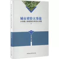 音像城市重特大事故大规模人群疏散及其优化决策叶永 著