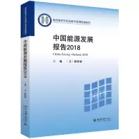 音像2018中国能源发展报告(美)林伯强