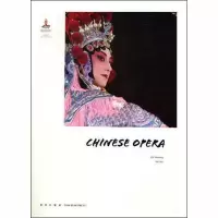 音像中国戏曲艺术梅卫东