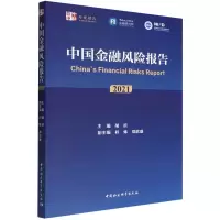 音像中国金融风险报告(2021)/中社智库年度报告胡滨主编