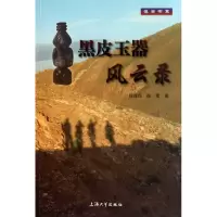 音像黑皮玉器风云录/博古书系陈逸民