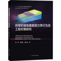 音像斜坡软弱地基路堤力学行为及工程对策研究蒋鑫 等