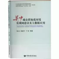音像关中城市群地质环境监测网建设及大数据应用陶虹 等