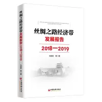 音像丝绸之路经济带发展报告(2018-2019)马莉莉等著