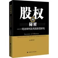 音像股权的秘密——司法审判及风险防范研究孙远辉