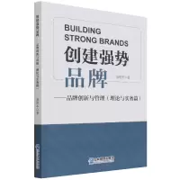 音像创建强势品牌--品牌创新与管理(理论与实务篇)袁胜军