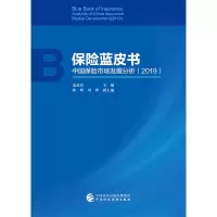 音像保险蓝皮书——中国保险市场发展分析(2019)寇业富