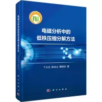 音像电磁分析中的低秩压缩分解方法丁大志,陈如山,樊振宏