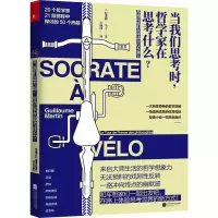 音像当我们思考时哲学家在思考什么纪尧姆·马丁