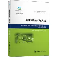 音像燃煤技术与实践陶邦彦 等