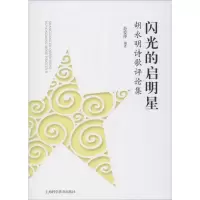 音像闪光的启明星 胡永明诗歌评论集舒爱萍