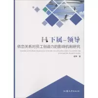 音像下属-领导依恋关系对员工创造力的影响机制研究杨琴