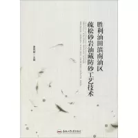 音像胜利油田滨南油区疏松砂岩油藏防砂工艺技术作者