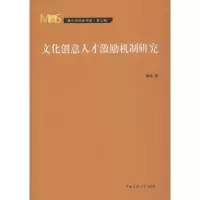 音像文化创意人才激励机制研究柳杰