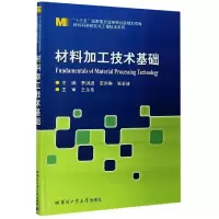 音像材料加工技术基础/材料科学研究与工程技术系列李洪波