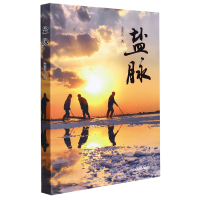 音像盐脉孟庆良