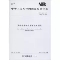 音像大中型水轮机基本技术规范 NB/T 10135-2019能源局