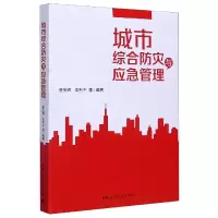 音像城市综合防灾与应急管理翟宝辉