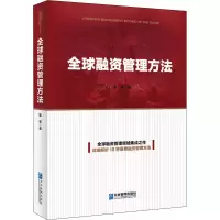 音像全球融资管理方法董冕