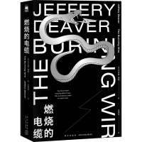 音像燃烧的电缆(美)杰夫里·迪弗