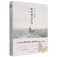 音像时代答卷(紫阳蝶变纪事)高鸿 著