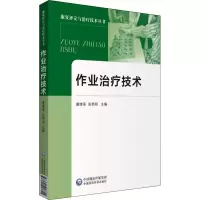 音像作业治疗技术董继革