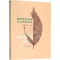 音像新世纪东南亚华文文化散文精选朱文斌